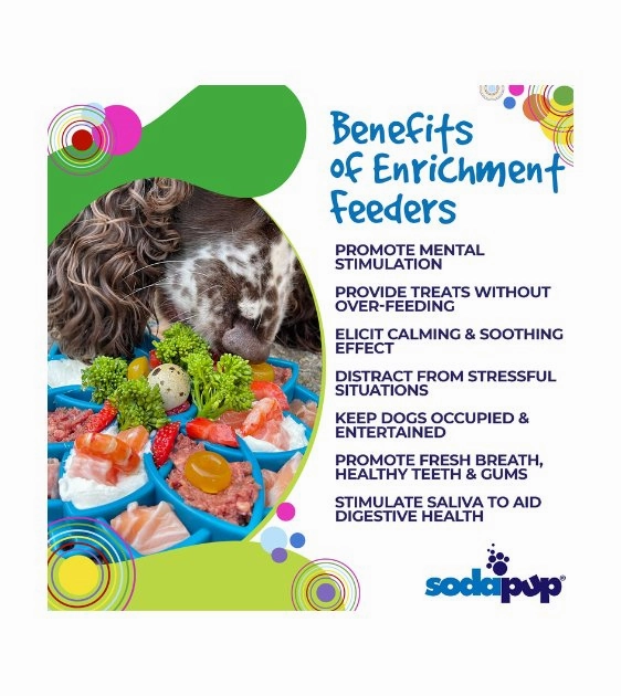 SodaPup Enrichment Feeding Tray For Dogs (Blue Mandala)