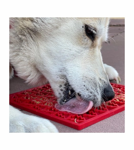 SodaPup Enrichment Lick Mat For Dogs (Square / Red Tree)