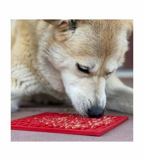 SodaPup Enrichment Lick Mat For Dogs (Square / Red Tree)