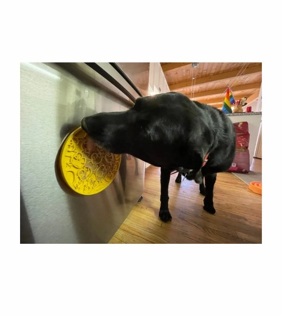 SodaPup Enrichment Lick Mat With Suction Cups For Dogs (Round / Blue Whale)