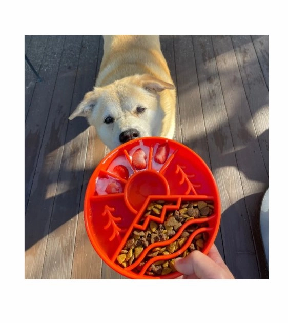 SodaPup Enrichment Slow Feeder Bowl For Dogs (Round / Green Great Outdoors)