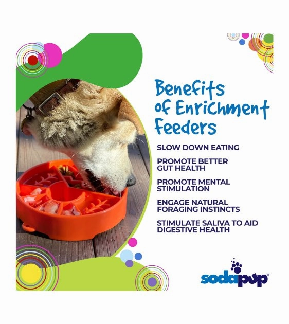 SodaPup Enrichment Slow Feeder Bowl For Dogs (Round / Green Great Outdoors)