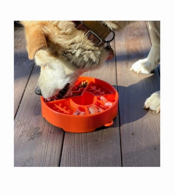 SodaPup Enrichment Slow Feeder Bowl For Dogs (Round / Green Great Outdoors)