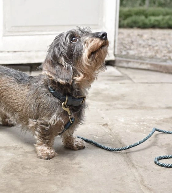 Sophie Allport Rope Lead (Teal)