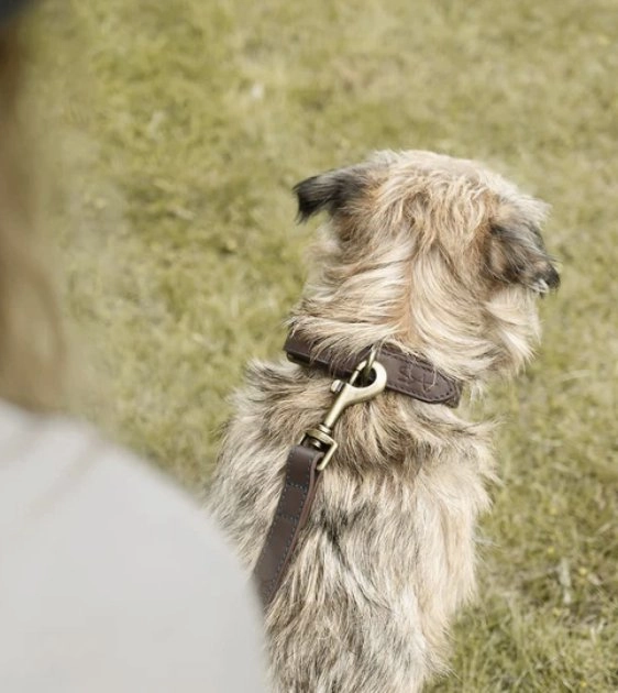 Sophie Allport Woof Leather Dog Collar