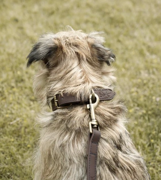 Sophie Allport Woof Leather Dog Collar
