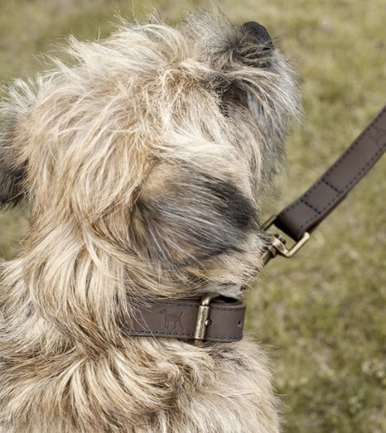 Sophie Allport Woof Leather Dog Collar