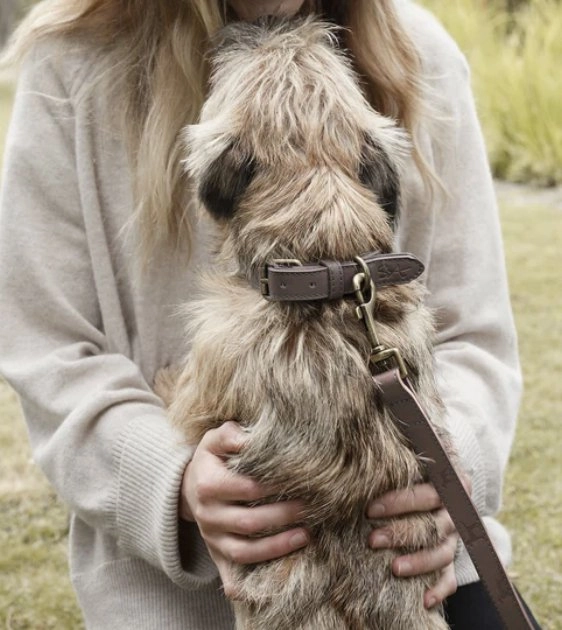 Sophie Allport Woof Leather Dog Collar