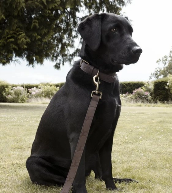 Sophie Allport Woof Leather Dog Collar