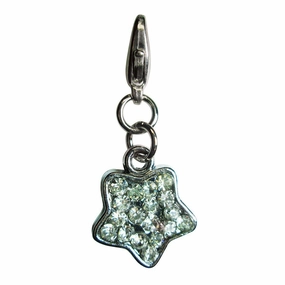 Sparkling Clear Rhinestone Star Dog Collar Charm