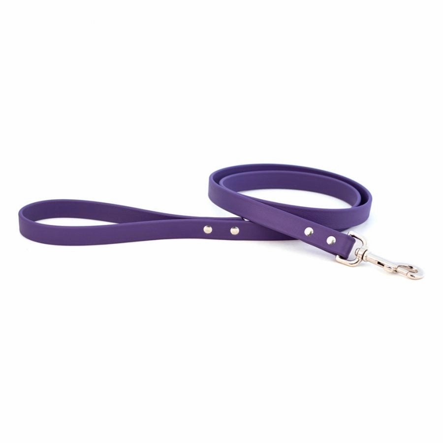 Sparky's Choice Dog Leash Violet dog mobility,outdoor pet aid