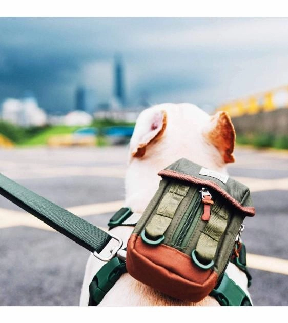Sputnik Clean Bag Multi-Function Poop Bag Dispenser For Dogs (Green)