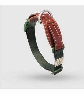 Sputnik Leather & Nylon (Green) Dog Collar dog charms,dog ID