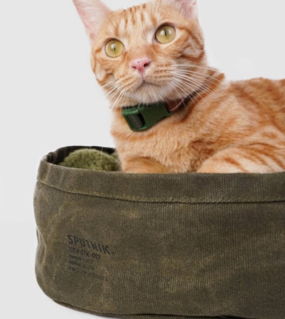 Sputnik Military (Green) Reversible Pillow Pet Bed