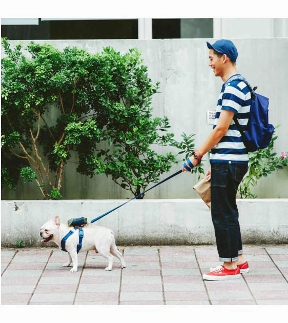 Sputnik Multi-Function (Red) Dog Leash