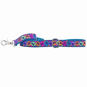 Squirrel Dog Leash dog mobility,outdoor pet aid