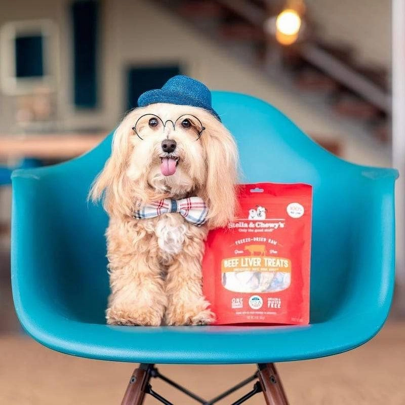 Stella & Chewys Freeze Dried Single Ingredient Beef Liver Dog Treats
