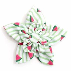 Stripe Watermelon Dog Collar Flower