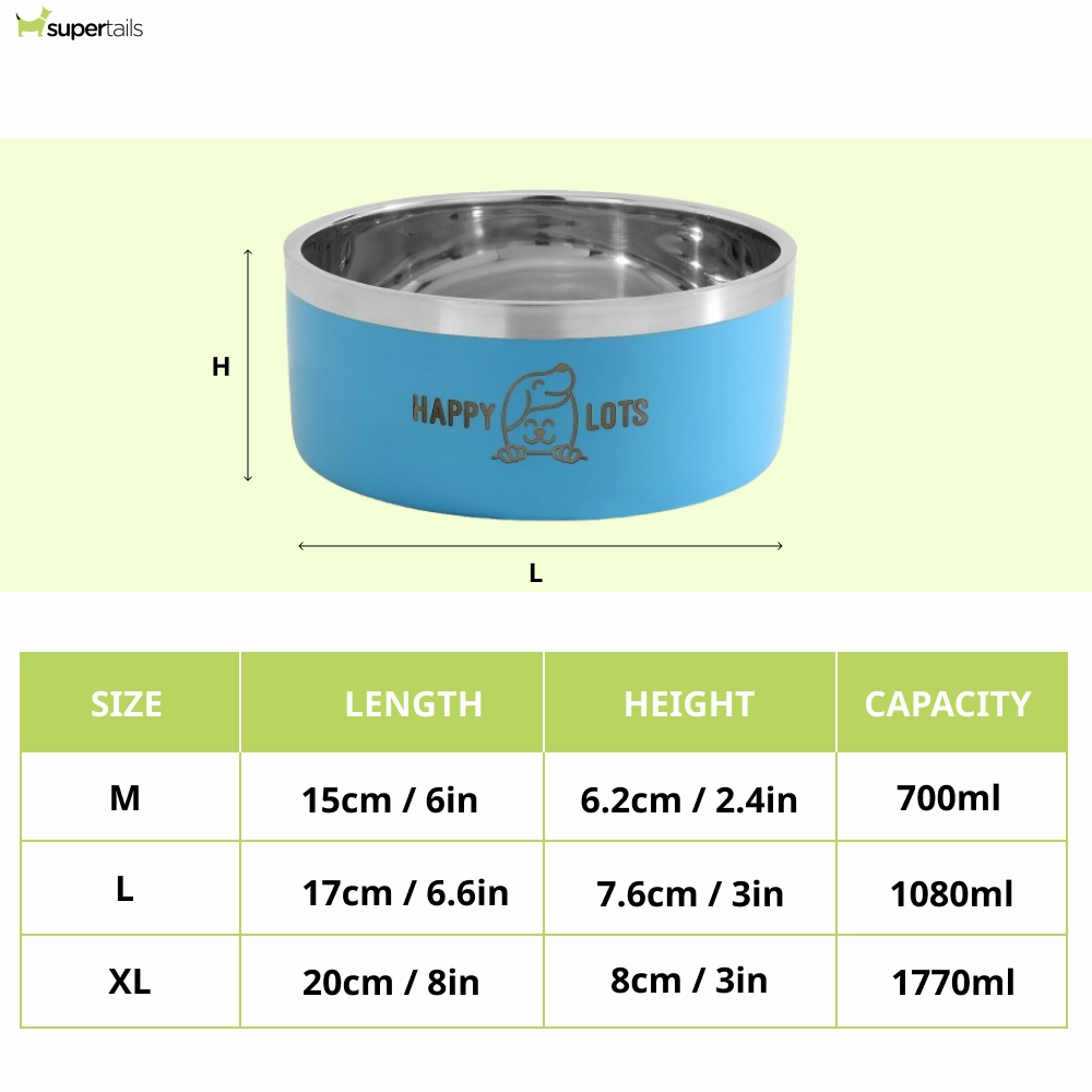 The Happy Lots Double Wall Bowl With Anti Skid Base for Dogs and Cats (Sky Blue)