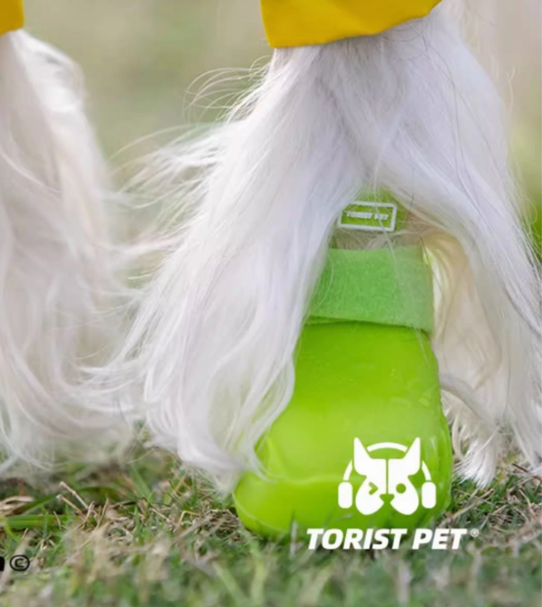 Torist Pet All-Weather Dog Boots (Lime Green)
