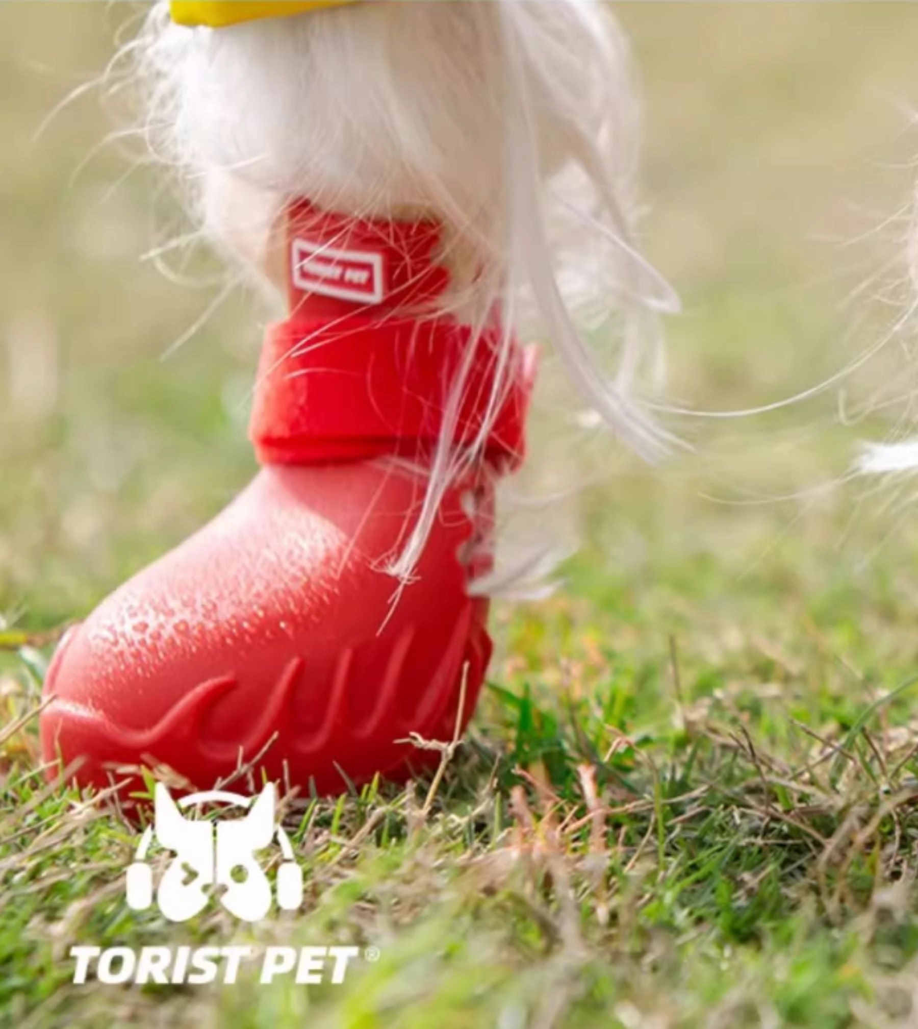 Torist Pet All-Weather Dog Boots (Pepper Red)