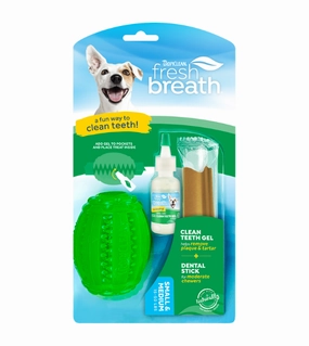 TropiClean Fresh 'N Fun Dental Chew Toy for Dogs dog immunity,pet immune support