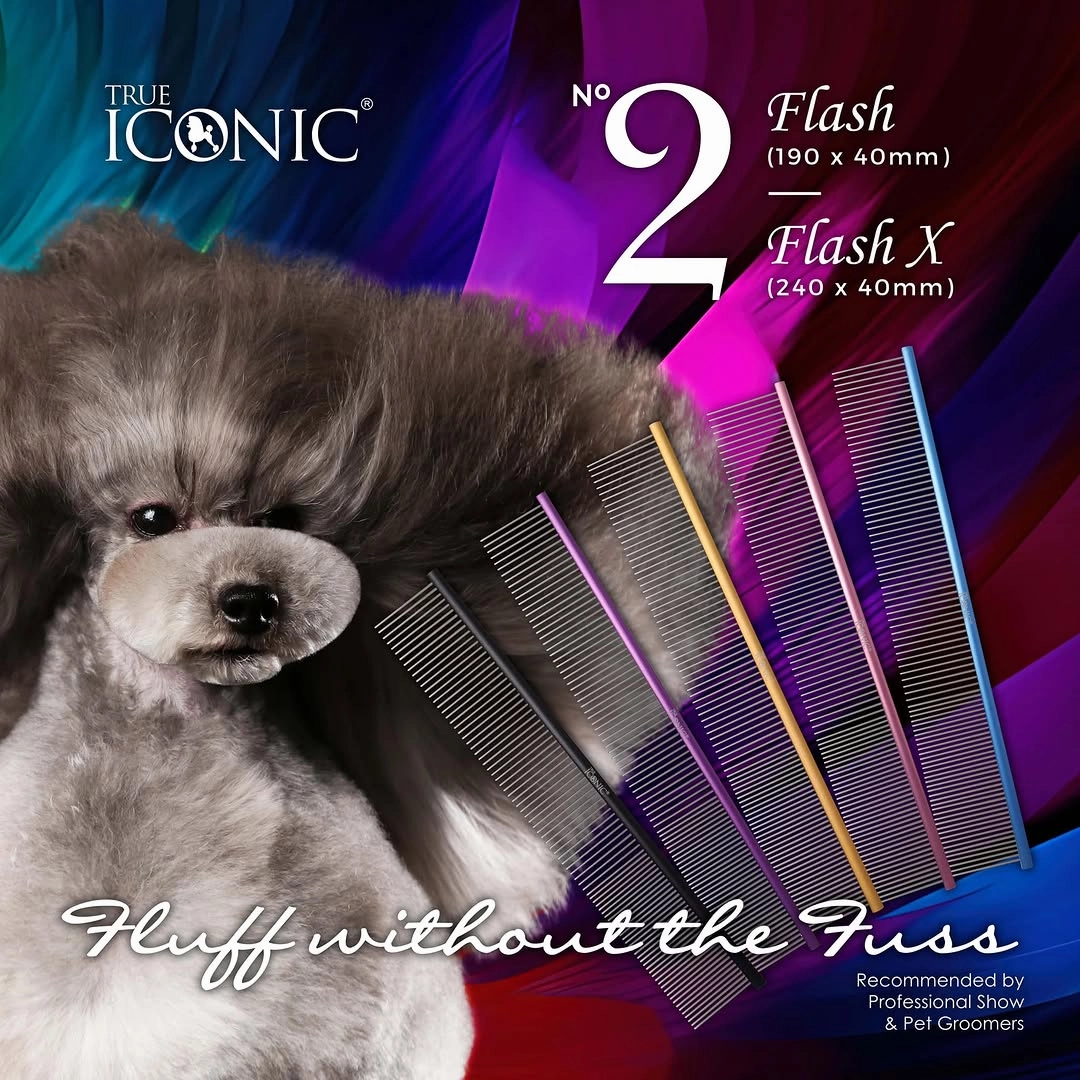 TRUE ICONIC Flash X No.2 24cm Pin Comb (Black)
