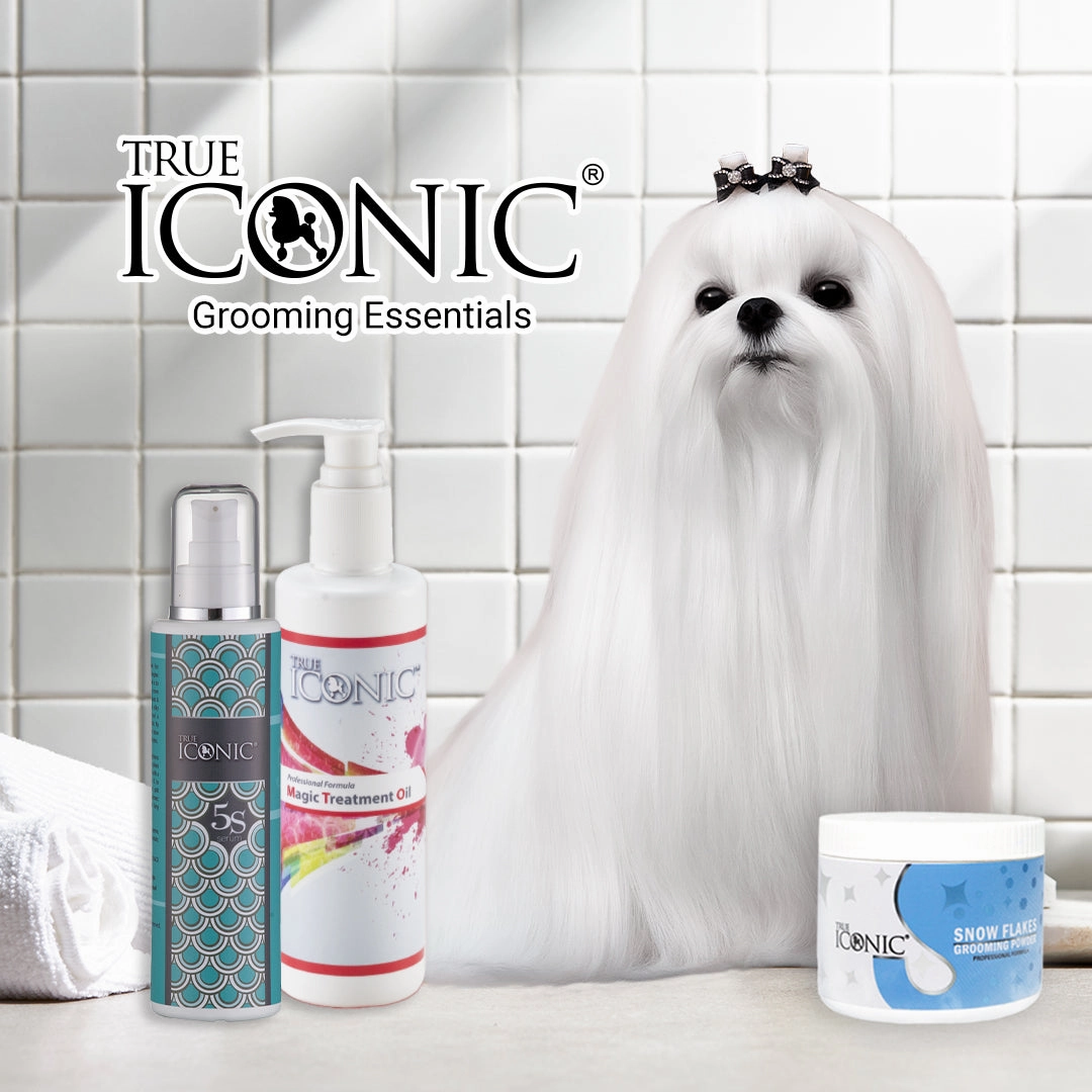 TRUE ICONIC Magic Treatment Oil for Dogs & Cats