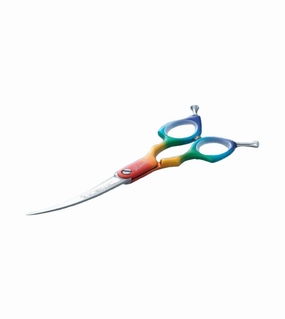 TRUE ICONIC Minuet 6 Rainbow Curve Shear interactive dog toy,tech pet toy