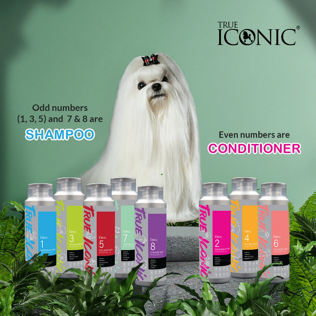 TRUE ICONIC R Texture Bath Ultra Rough Texture Shampoo for Dogs