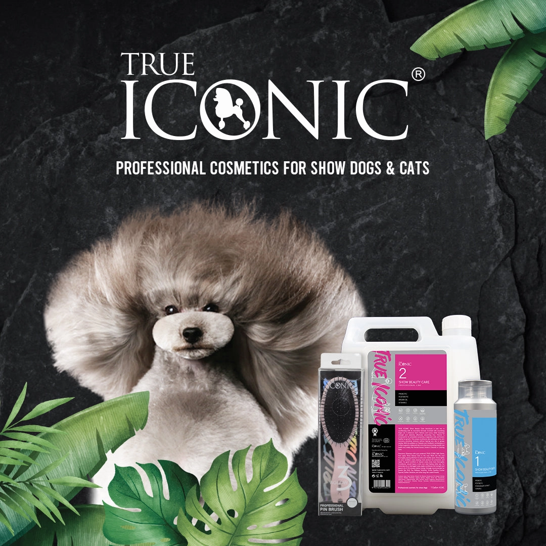 TRUE ICONIC R Texture Bath Ultra Rough Texture Shampoo for Dogs