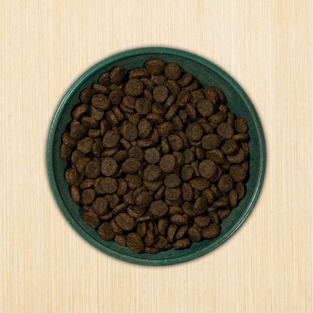 TRY & BUY: Annamaet Grain-Free Aqualuk Cold Water Formula Dry Dog Food