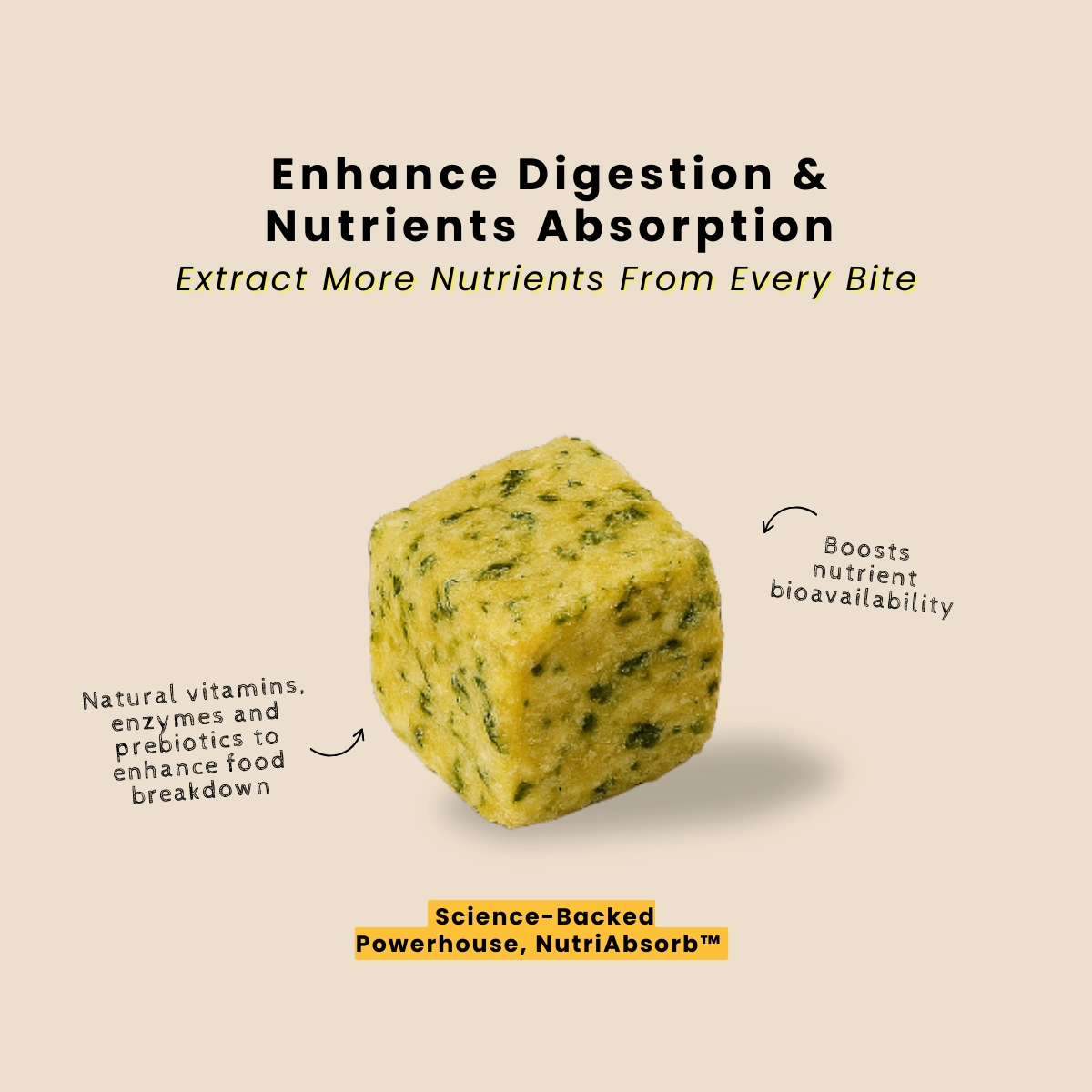 TRY & BUY: frashfresh Cooked Dog Food with NutriAbsorb (Low-Allergen PORK)