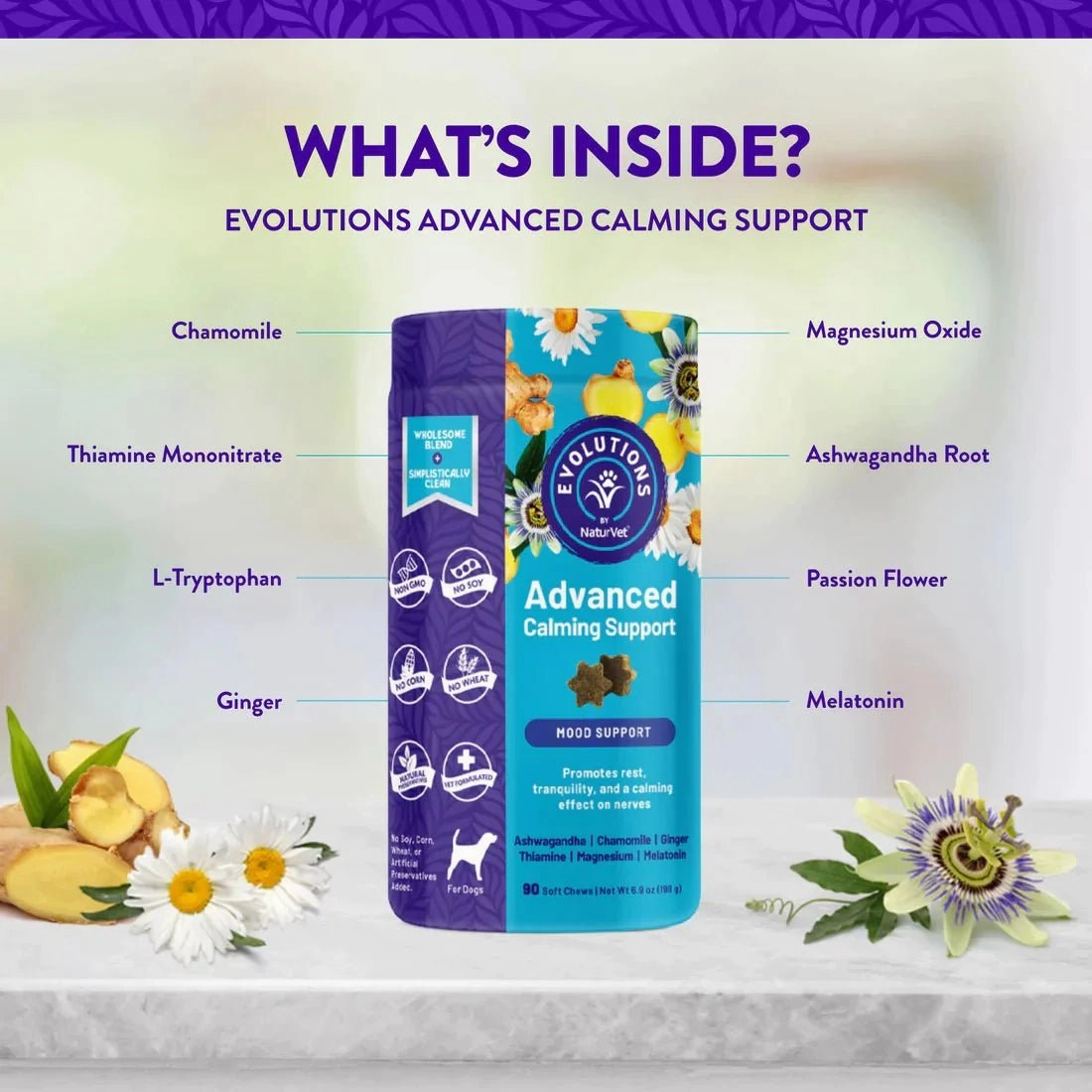 TRY & BUY: NaturVet Evolutions Advanced Calming Support Soft Chew Dog Supplement