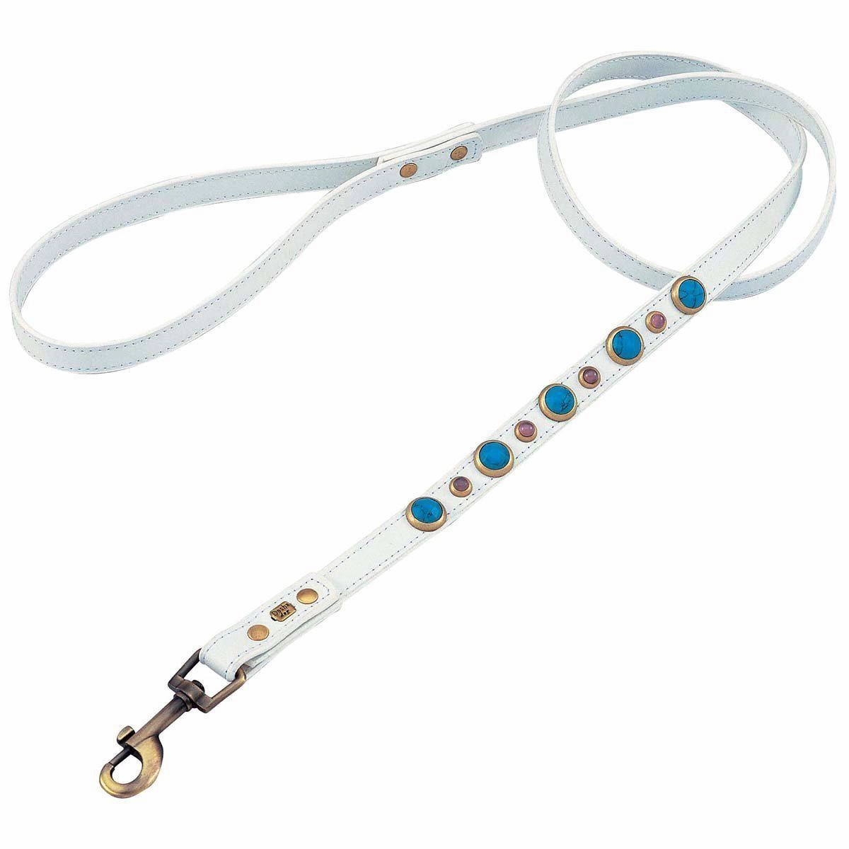Turquoise And Cat Eye Imperial Dog Leash dog mobility,outdoor pet aid