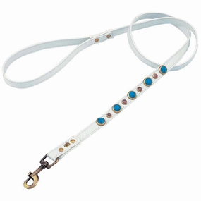 Turquoise And Cat Eye Imperial Dog Leash dog mobility,outdoor pet aid