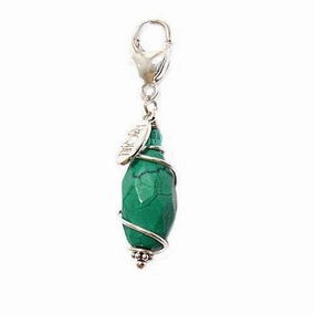 Turquoise Facet Healing Dog Collar Charm Pawmulet