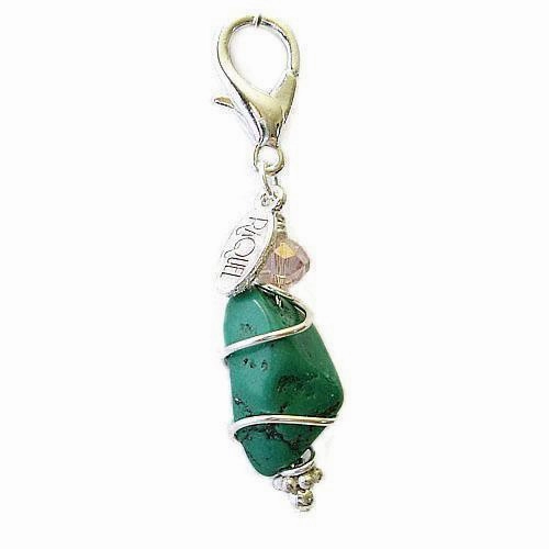 Turquoise Nugget Healing Dog Collar Charm Pawmulet