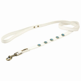 Turquoise Pebble Dog Leash dog mobility,outdoor pet aid