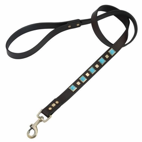 Turquoise Rock And Roll Dog Leash dog mobility,outdoor pet aid