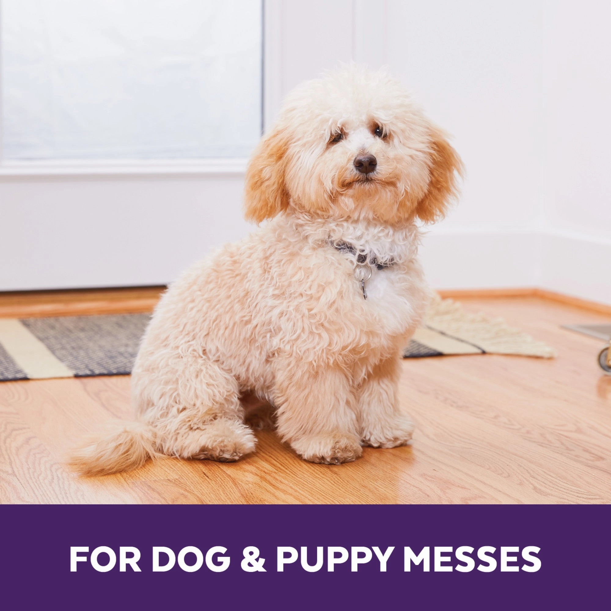 Urine Off Bio-Enzymatic Stain & Odor Remover Spray For Dogs & Puppies