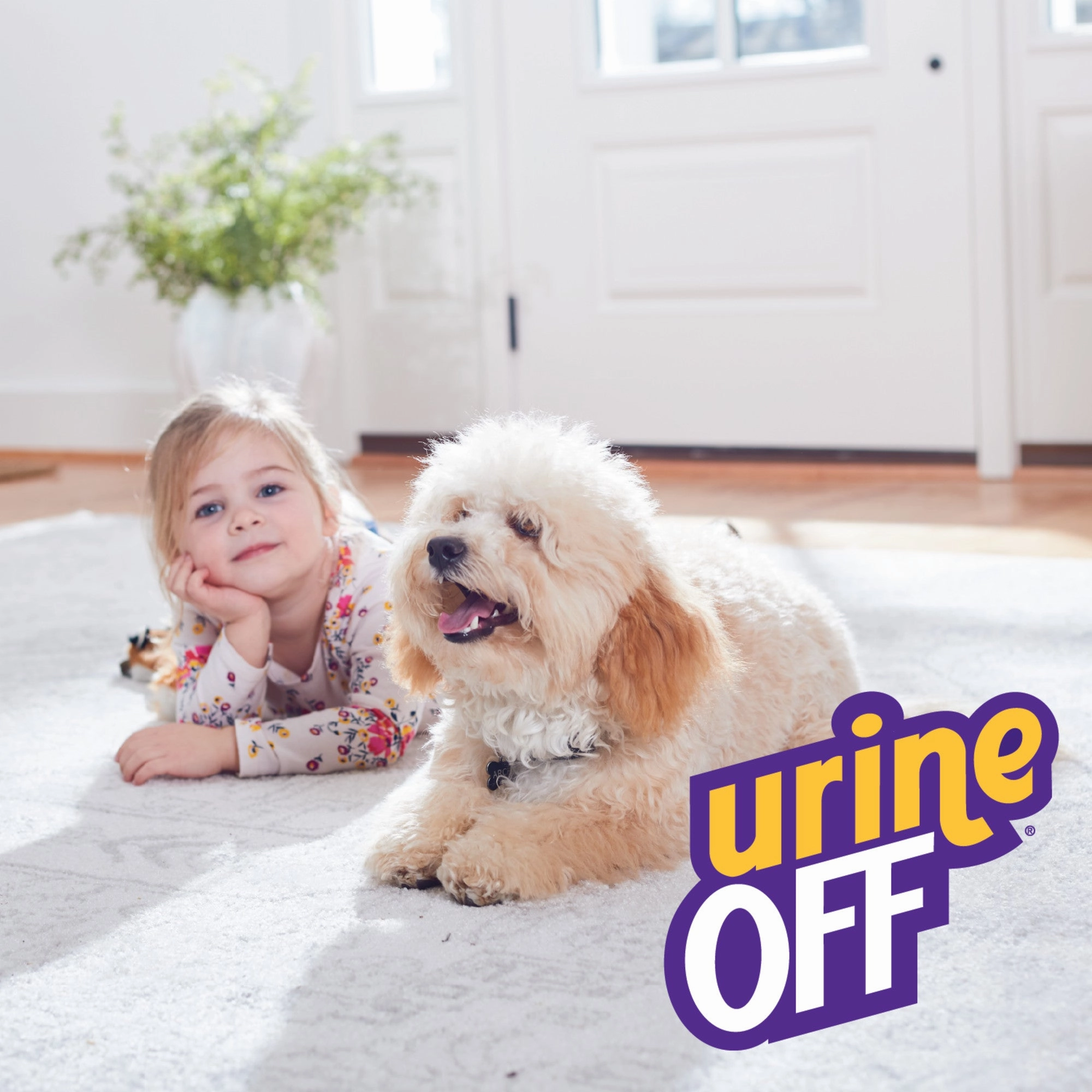 Urine Off Bio-Enzymatic Stain & Odor Remover Spray For Dogs & Puppies
