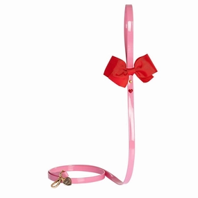 Valentine's Dog Leash Pink dog mobility,outdoor pet aid