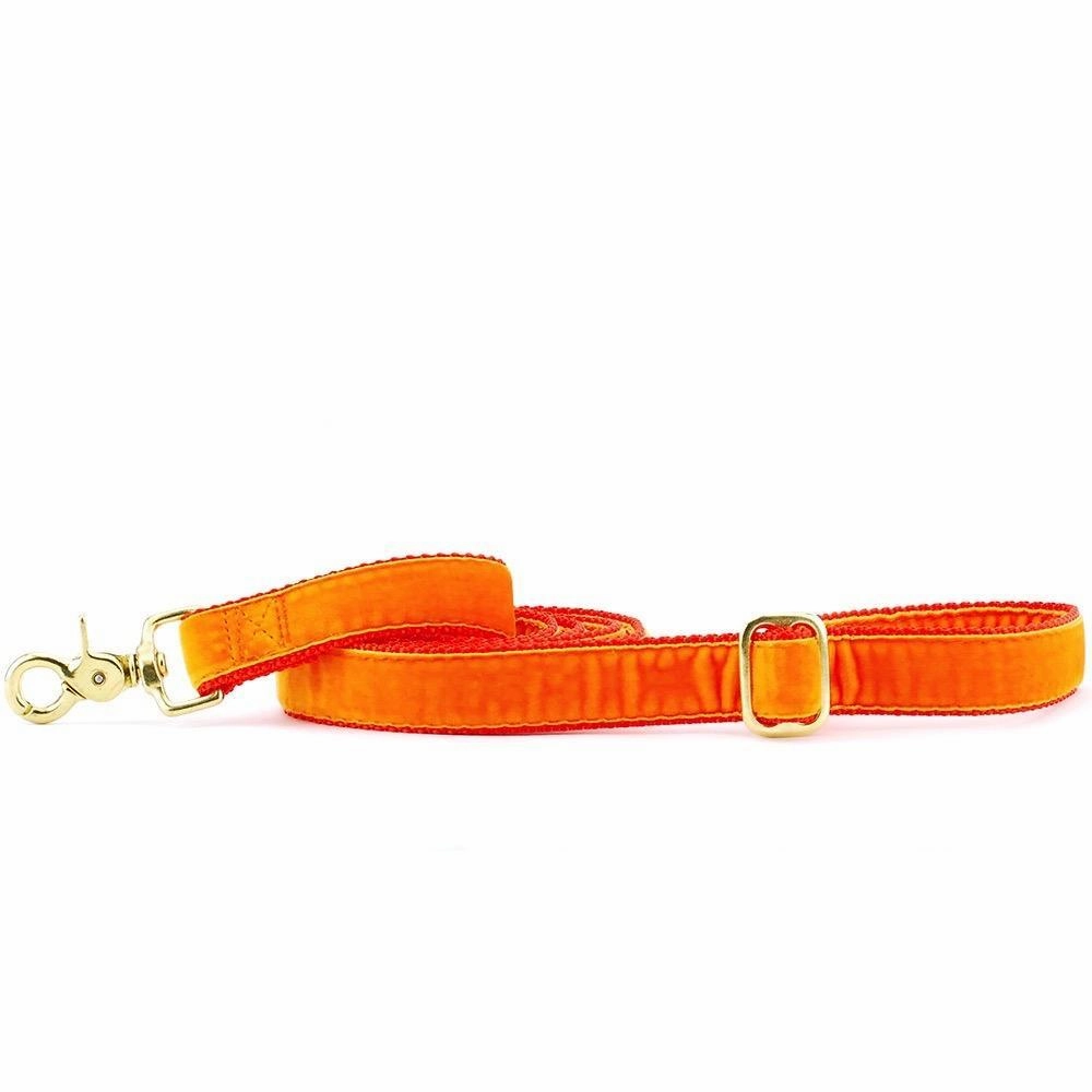 Velvet Dog Leash Orange