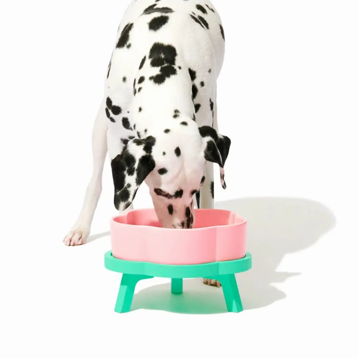 Vetreska - Flora Ceramic Pet Bowl