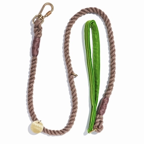 Washable Velvet Dog Leash Lime dog mixer,pet meal booster