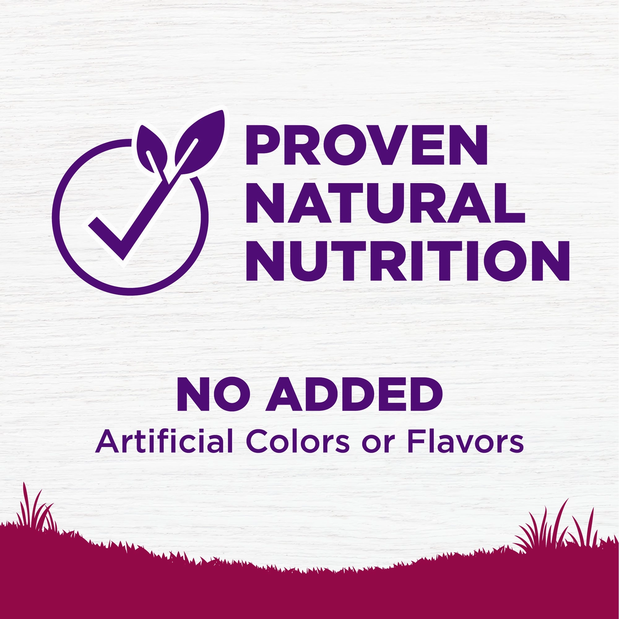 Wellness Complete Health Small Breed Age Advantage Adult 7  Wholesome Grains Senior Dry Dog Food (Deboned Turkey & Peas Recipe)