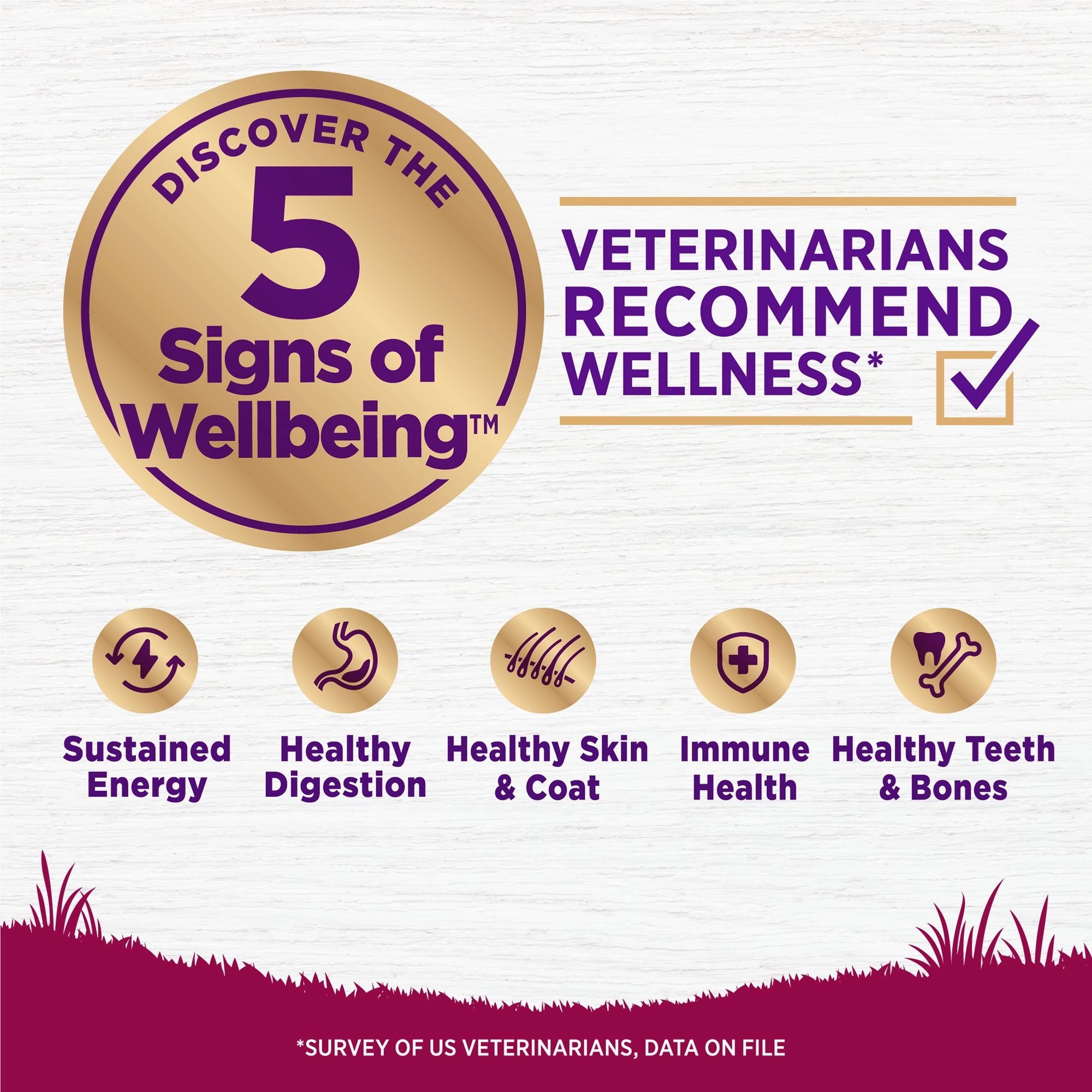 Wellness Complete Health Small Breed Age Advantage Adult 7  Wholesome Grains Senior Dry Dog Food (Deboned Turkey & Peas Recipe)
