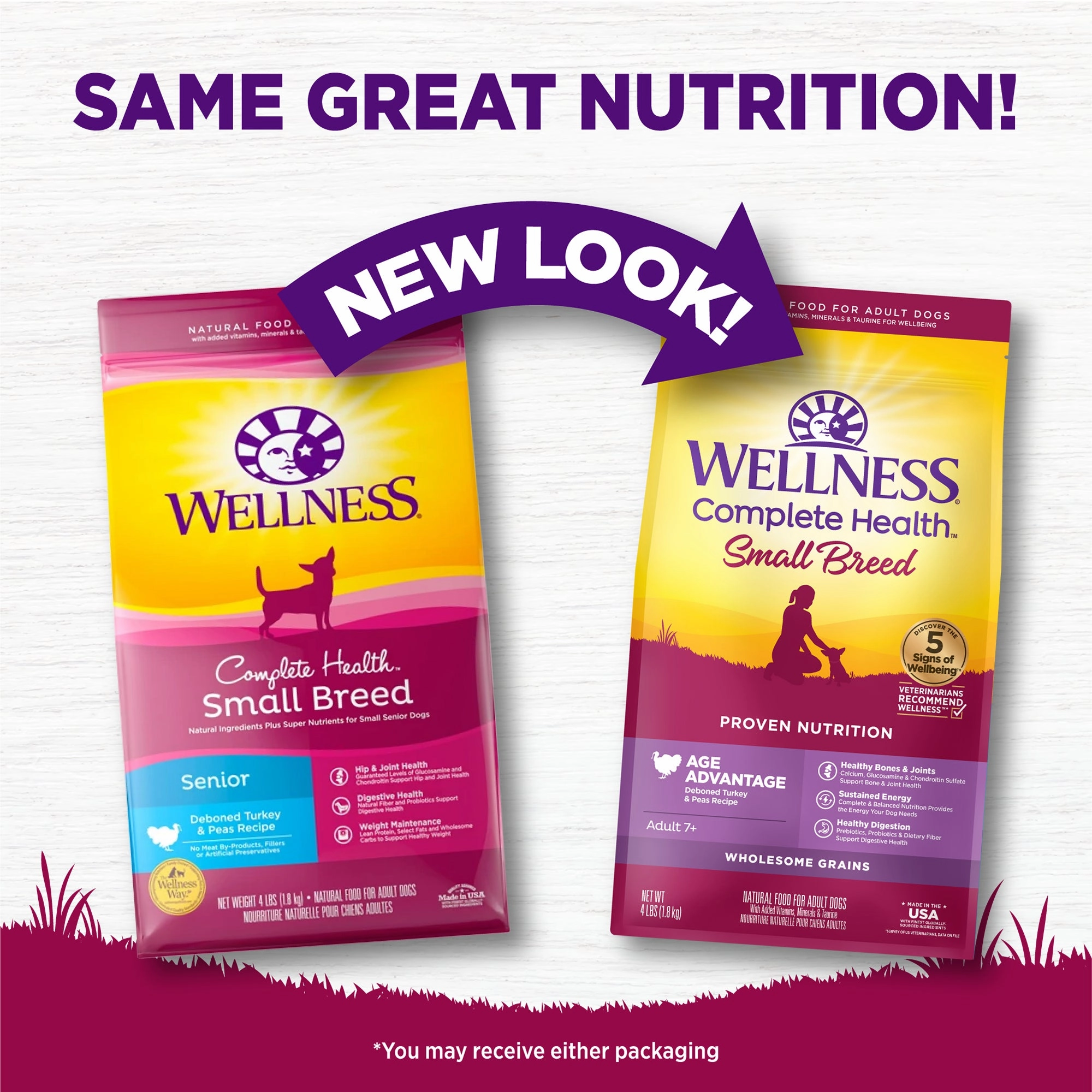 Wellness Complete Health Small Breed Age Advantage Adult 7  Wholesome Grains Senior Dry Dog Food (Deboned Turkey & Peas Recipe)