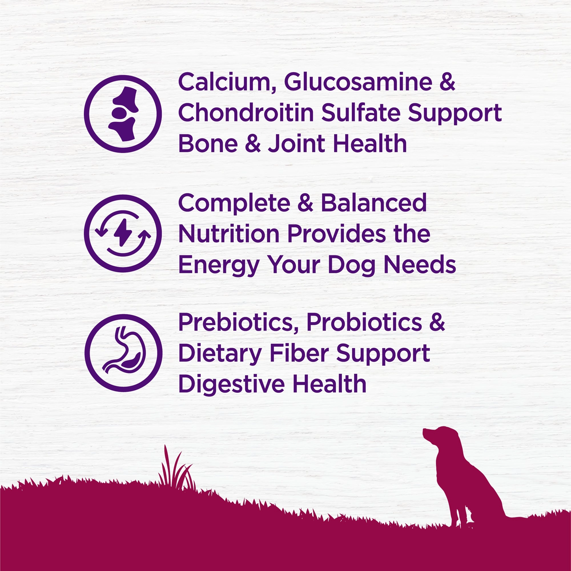 Wellness Complete Health Small Breed Age Advantage Adult 7  Wholesome Grains Senior Dry Dog Food (Deboned Turkey & Peas Recipe)